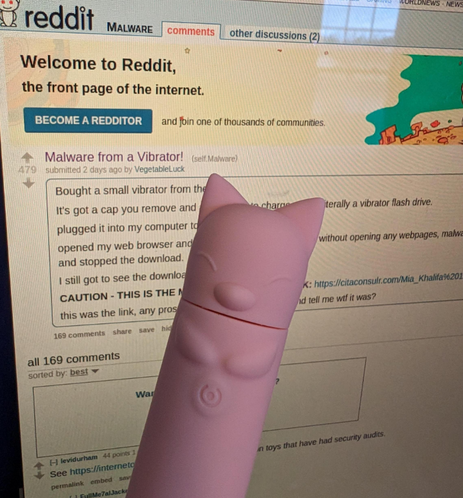 A small, cat-face-imprinted pink bullet vibrator held up in front of a screenshot of Reddit, showing the recent post "Malware from a Vibrator!" https://web.archive.org/web/20240219003151/https://old.reddit.com/r/Malware/comments/1asn02v/malware_from_a_vibrator/
